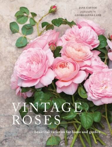 Vintage Roses: Beautiful Varieties for Home and Garden (Beauti... by Jane Eastoe