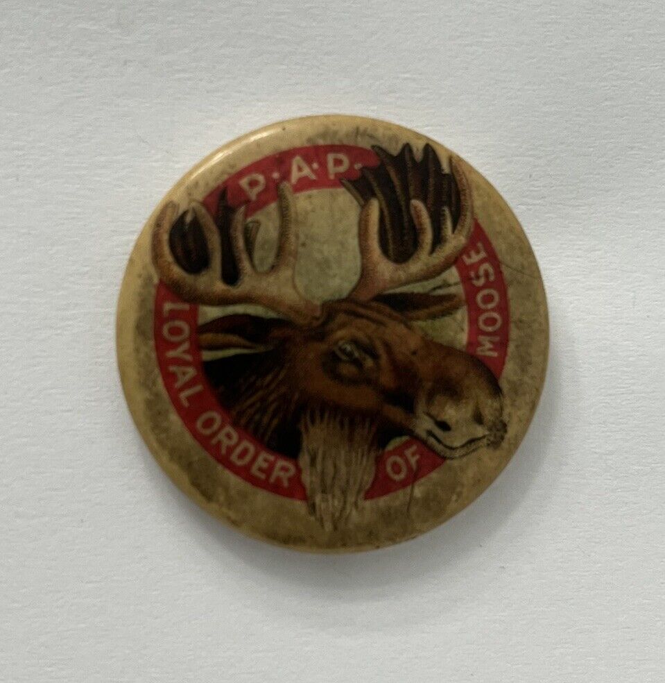 Antique 1912 P.A.P. Loyal Order of the Moose Pinback Button - SCARCE