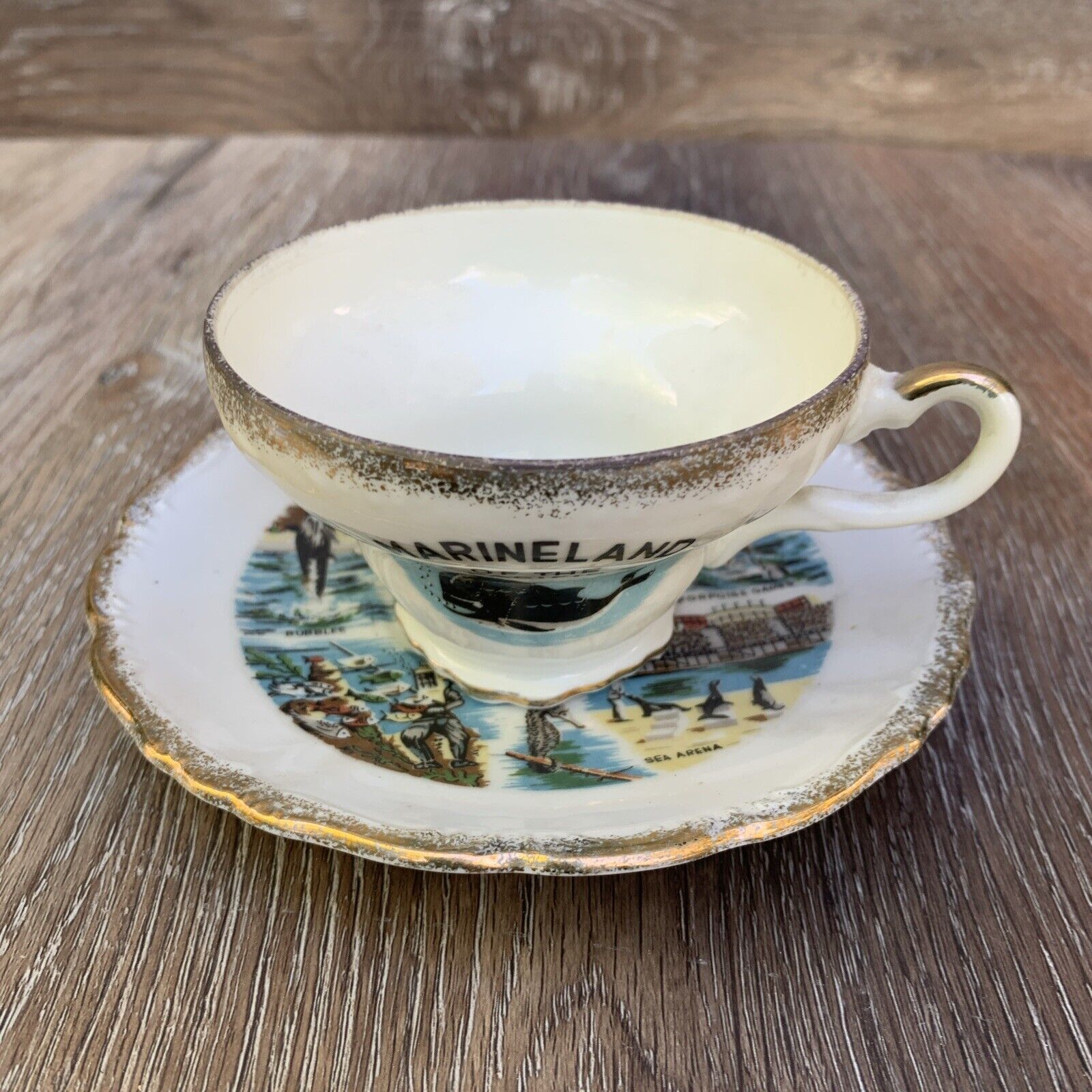 Vintage Souvenir Tea Cup & Saucer - Marineland Of The Pacific