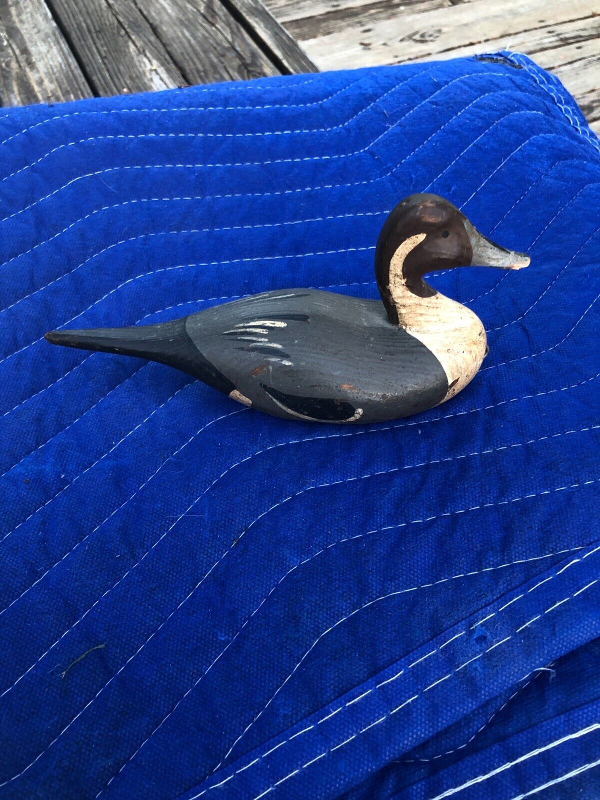 Early Back Bay Decoy Northern Pintail Duck