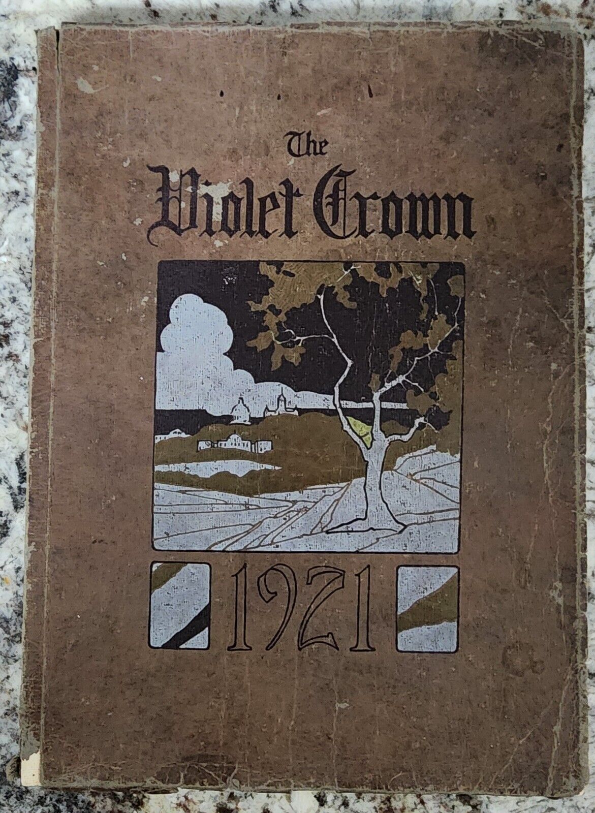 Antique 1921 Austin (TX) High School Yearbook - The Violet Crown - RARE