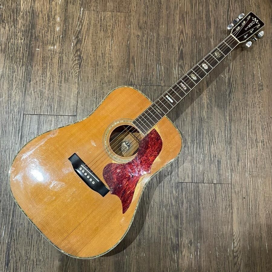 Morris W-50 Tf Acoustic Guitar Made In Japan Current Item