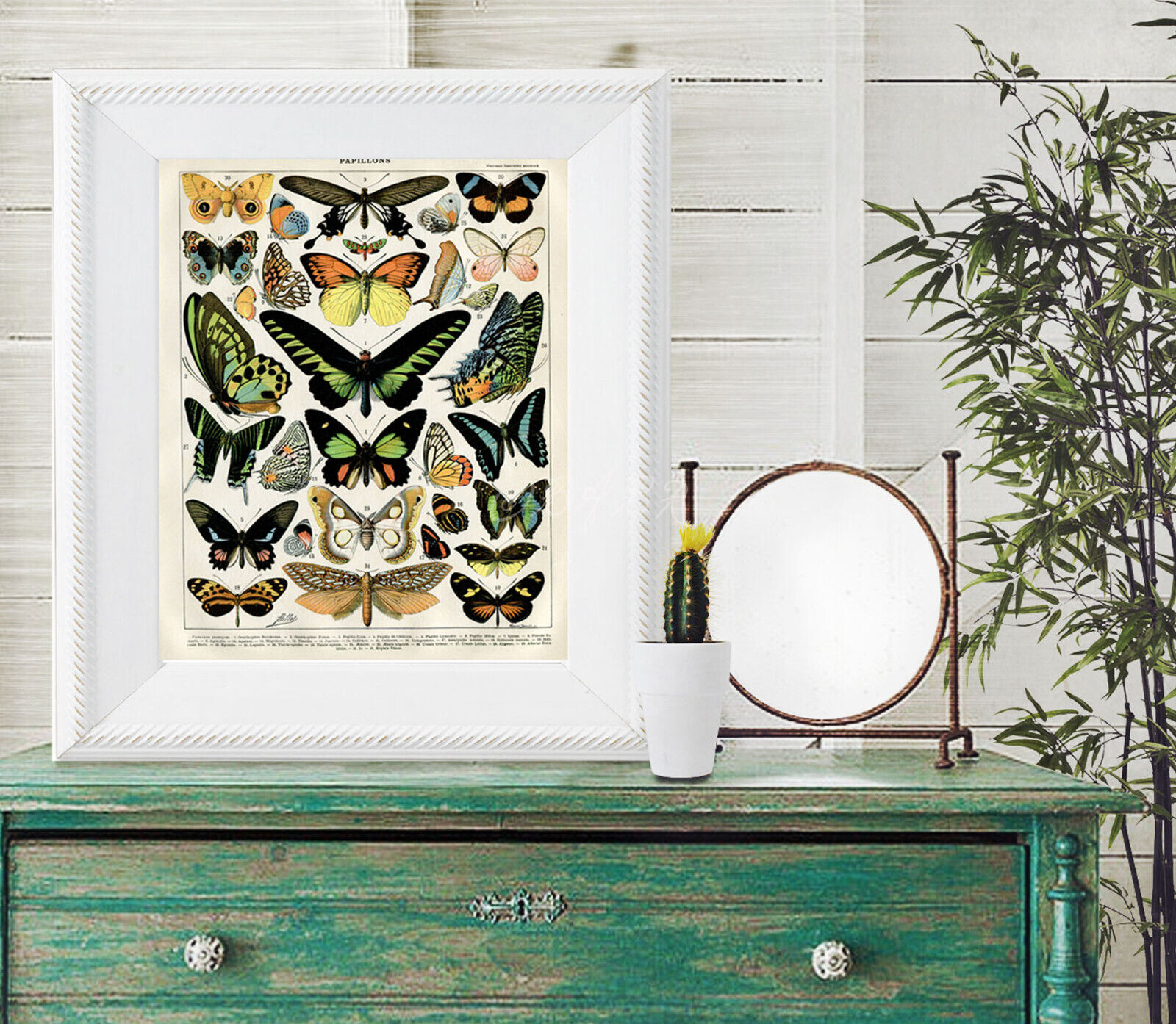 Larousse Colorful Butterflies Butterfly Wall Art Papillon Insects Poster Print