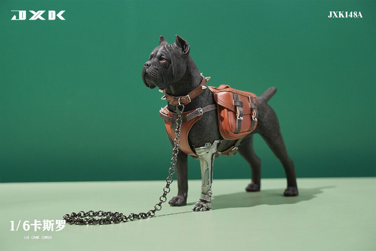 JXK 1/6 Cane Corso Model Animal Decor Dog Action Figure Collector Kid Toy Gifts