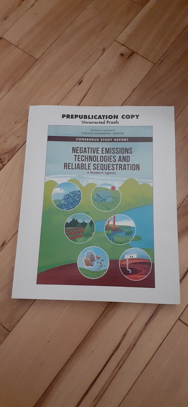 RARE PRE-PUBLICATION Negative Emissions Technologies & Reliable Sequestration