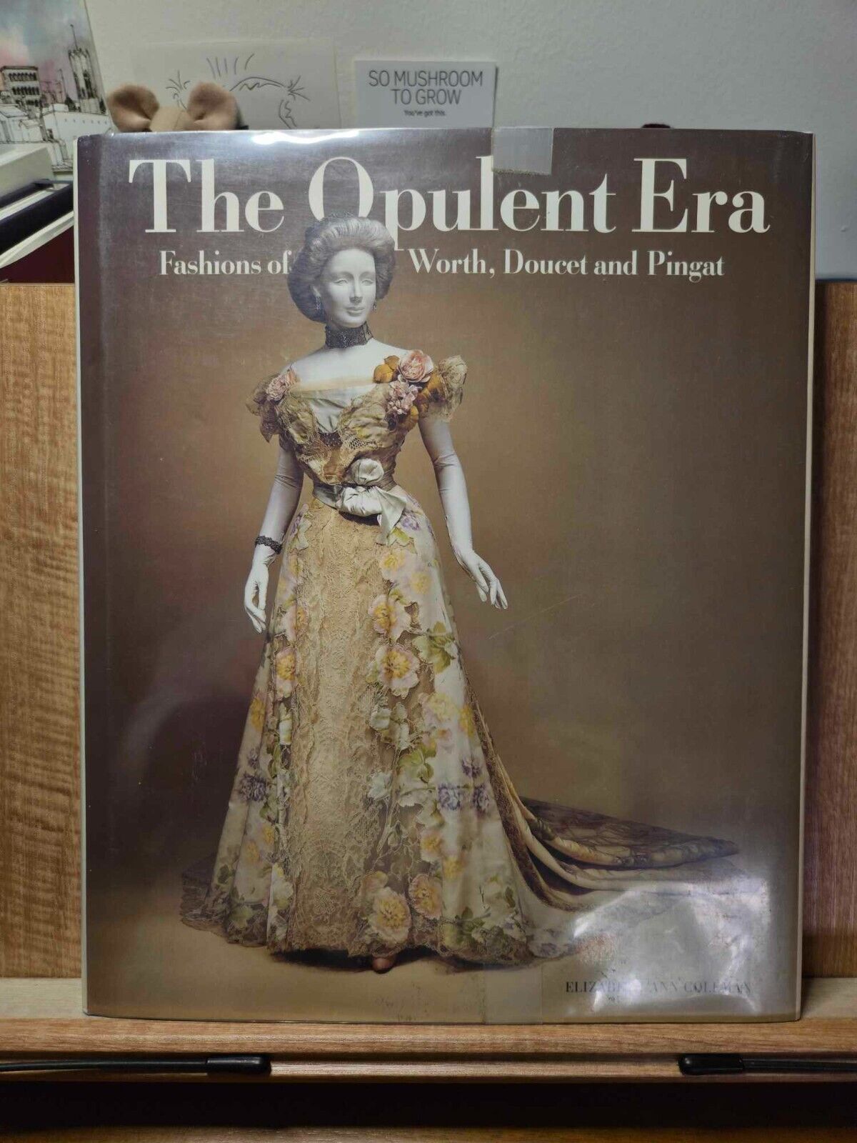Opulent Era: Fashions of Worth, Doucet and Pingat • Elizabeth Ann Coleman