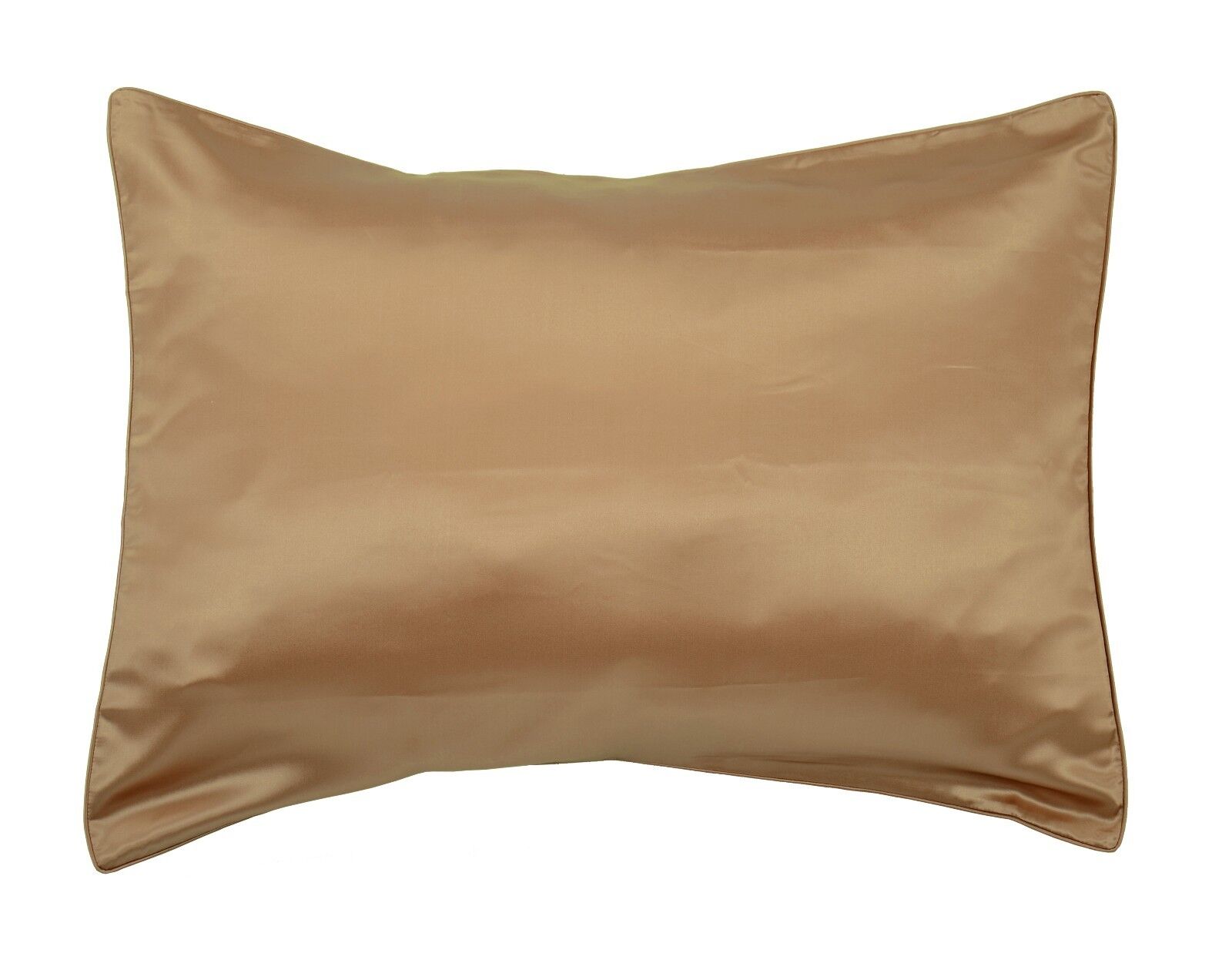 Blowout sale - 100% Mulberry Silk Pillowcase - 19 Momme - silk both sides/Single