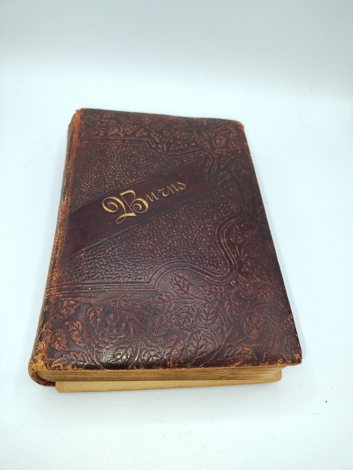 The Complete Works Of Robert Burns Published 1890s richly Leather Bound Gd cond