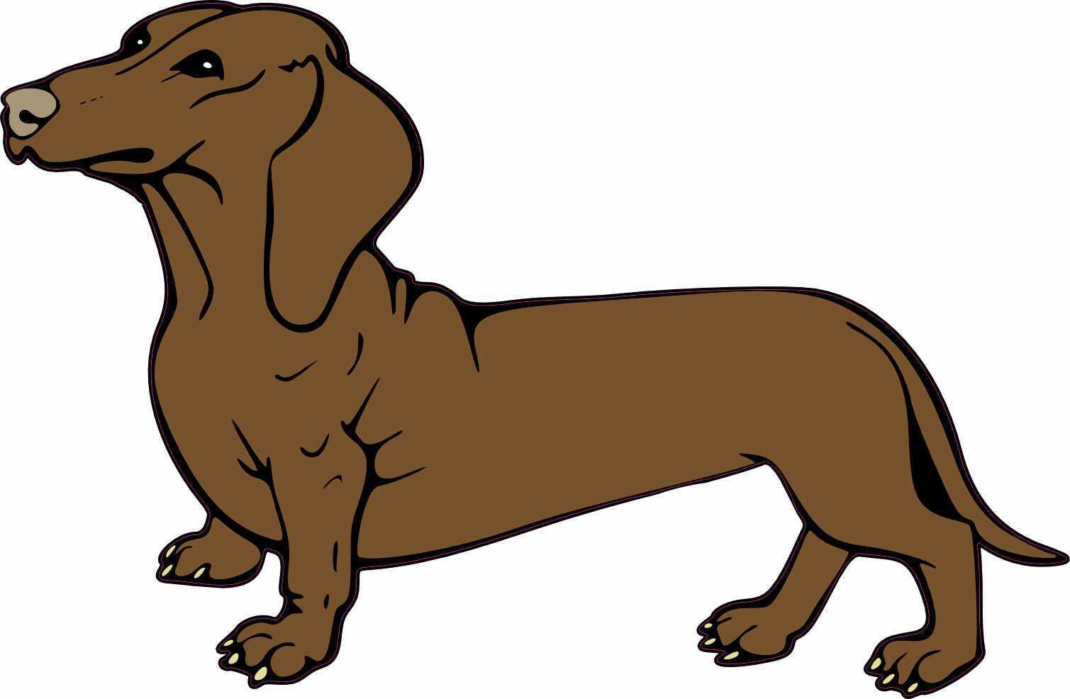 StickerTalk Dachshund Doxie Weiner Sausage Badger Dog Sticker, 5 inches x 3.2...