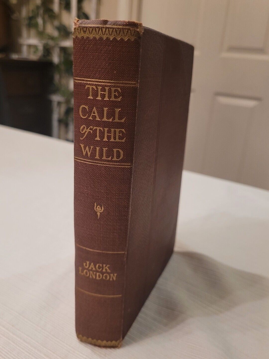 The Call of the Wild Jack London 1915 Hardcover MacMillan Illustrated