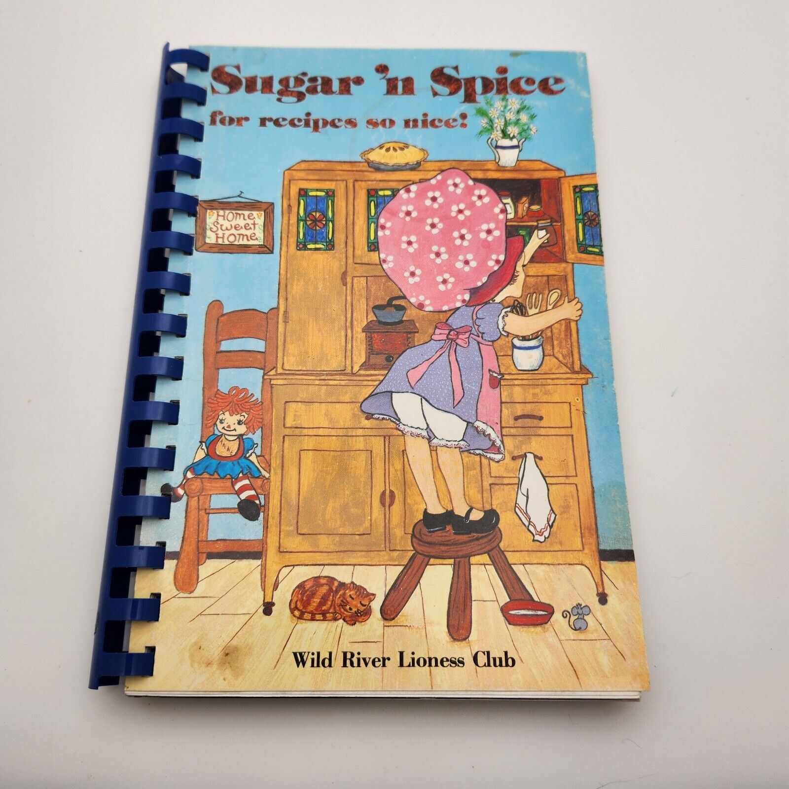 Vintage Sugar\'n Spice Cookbook Recipe Collection 1977 Wild river lioness club WI