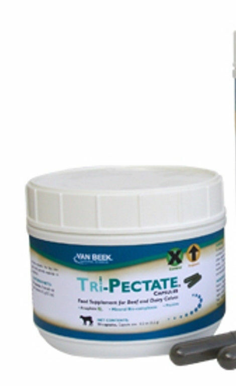 Tri Pectate Capsule 50 Count Feed Supplement for Beef Dairy Cattle Immune System