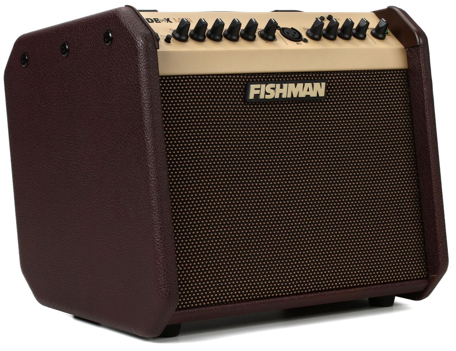 Fishman Loudbox Mini BT 60-watt 1x6.5\