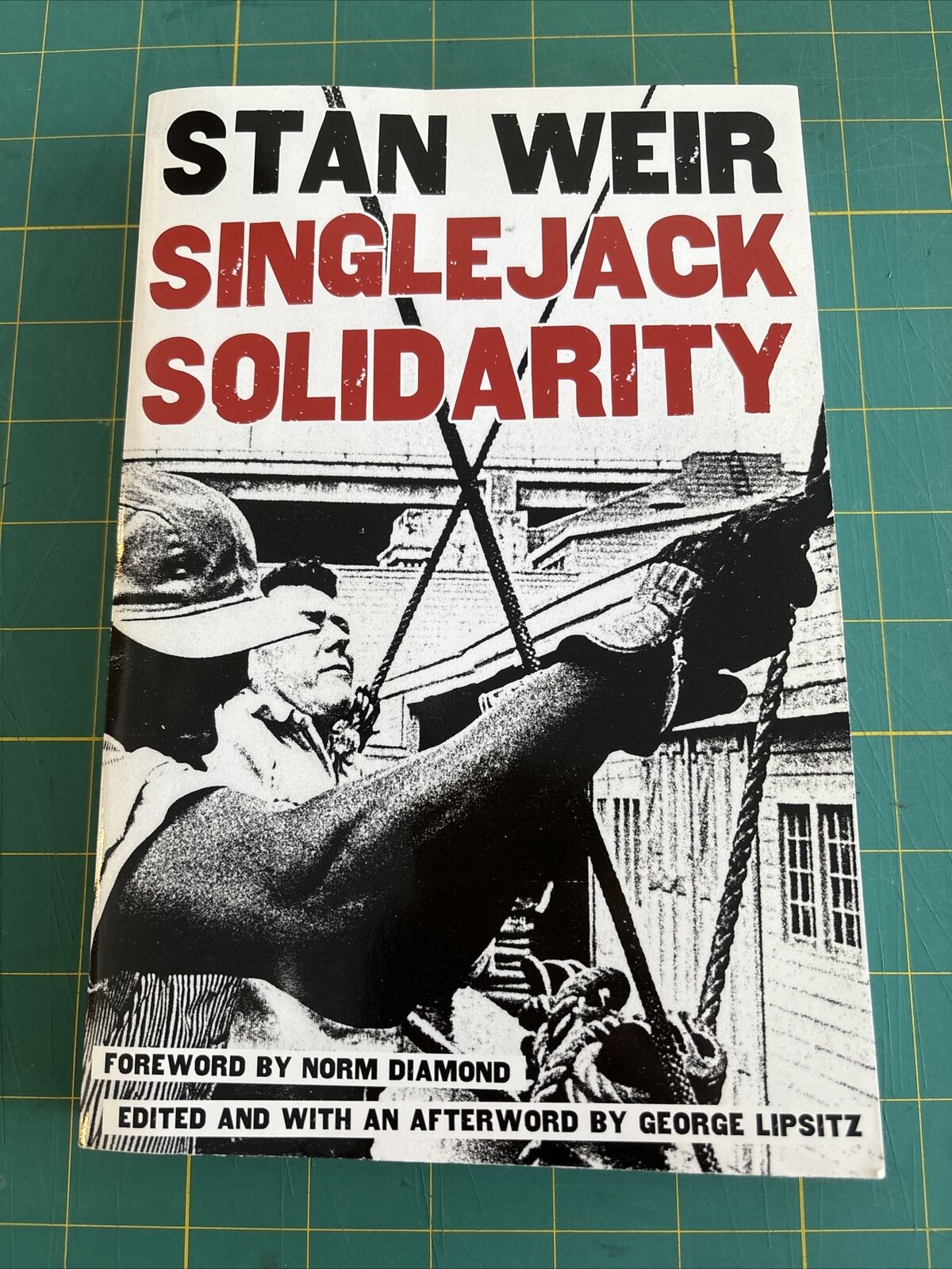 Critical American Studies: Singlejack Solidarity by Stan Weir (2004, Trade...