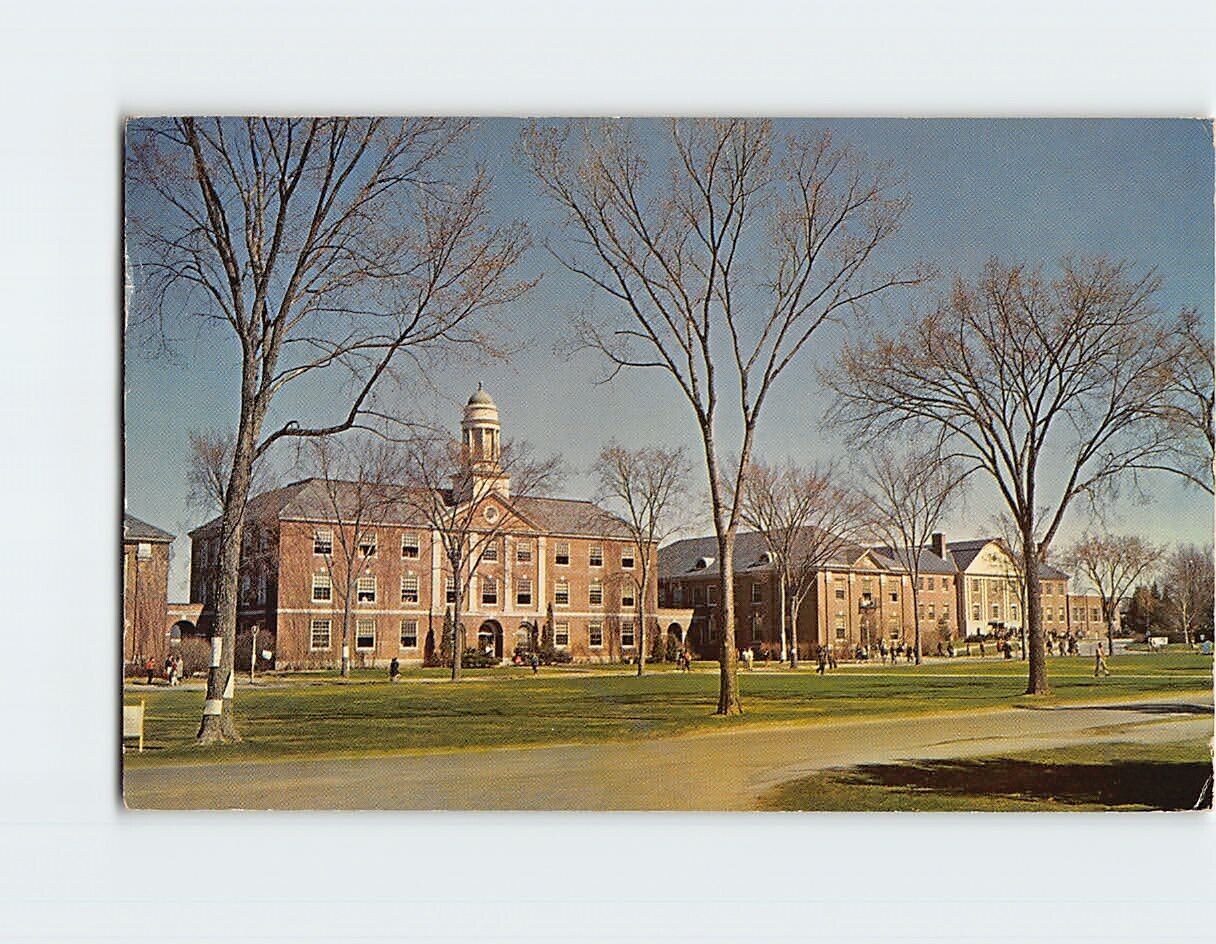 Postcard University Of Maine, Orono, Maine