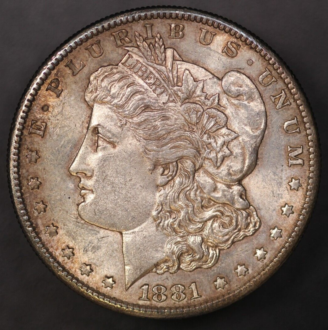 1881 S Morgan Silver Dollar Fresh from an original collection-LOT AA 7844
