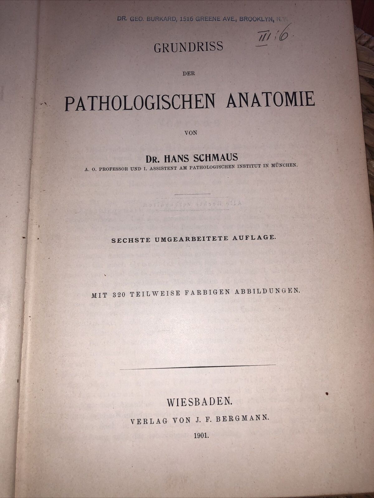 Grundriss der Pathologischen Anatomie 1901 Dr. Hans Schmaus Wiesbaden