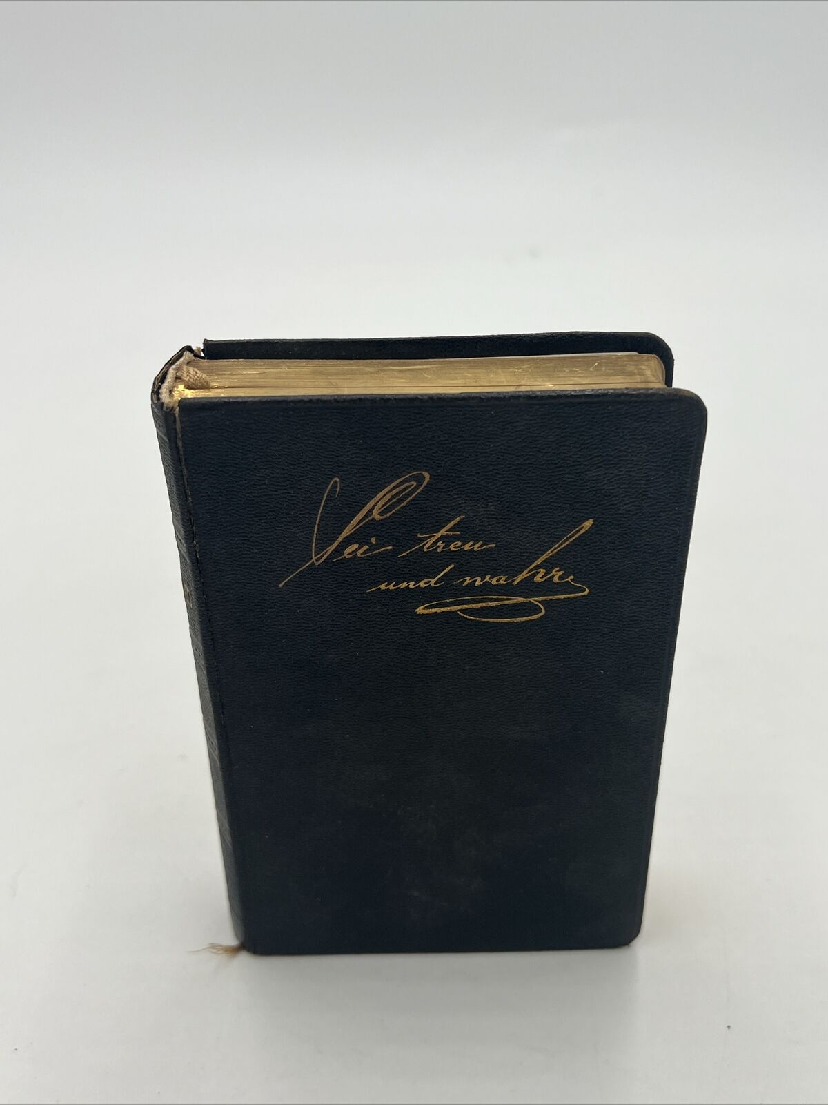 1883 Antique German Christian DEIN WORT IST DIE WAHRNEIT Book Pocket Size