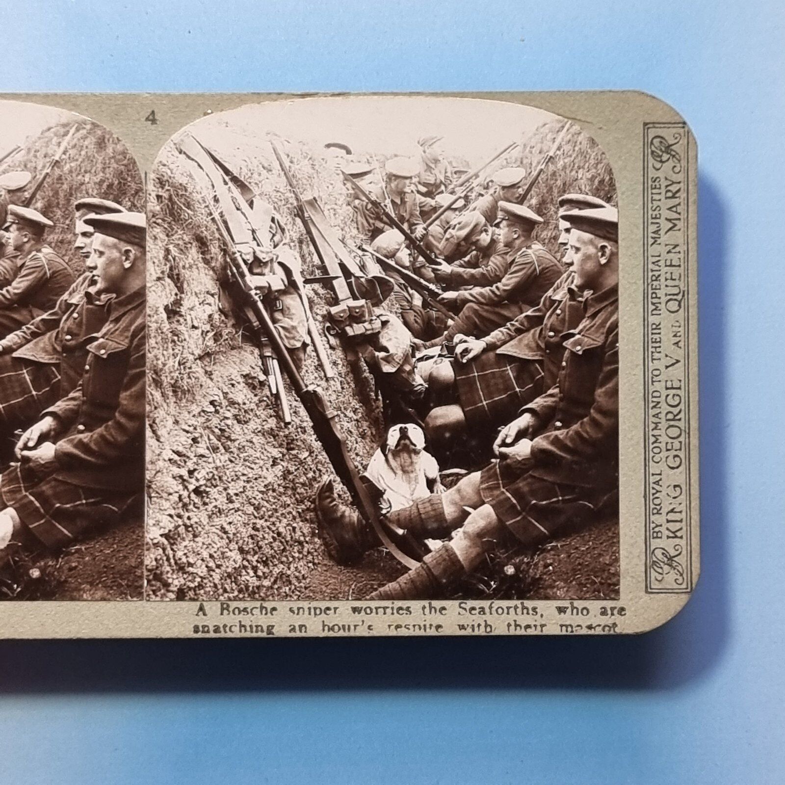 WW1 Stereoview 3D C1916 Real Photo Seaforth Highlander Regt Trench Dog France