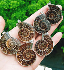10pcs Natural Ammonite Fossil Pendant Chakra Reiki Healing Amulet Energy picture