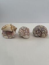 Jim Shore Sea Shells Set Of 3 RETIRED One Damaged picture