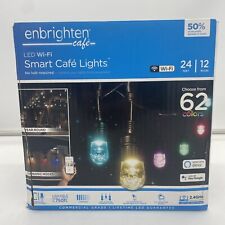 Enbrighten 12 Bulb 24 ft. Outdoor/Indoor Black Color Changing LED String Lights picture