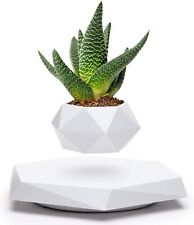 Floating Plant Pot - Levitating Plant Pot for Succulents,air Bonsai & air Plants picture