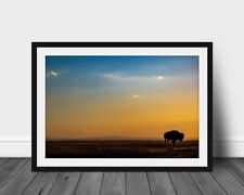 Buffalo Photography wall art hanging South Dakota landscape picture bison photo picture