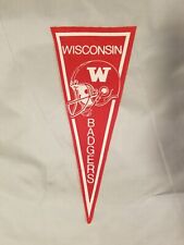 🏈Vintage 1980s WISCONSIN BADGERS Football🏈Vertical BIG 10 Conference Pennant picture