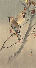 Two Birds in Tree 22x30 Japanese Art Print by Koson Asian Art Japan  picture