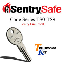 Sentry Safe & Fire Box keys / Select your key code  / Series TS0 - TS9 picture
