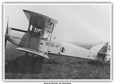 Breda A.9 Aircraft picture