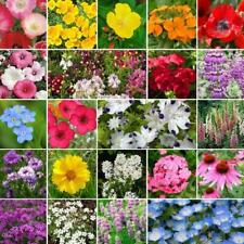 Wildflower Mix PARTIAL SHADE 22 Heirloom Flower Species USA Non-GMO 500+ Seeds picture