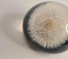 Vintage MCM Dandelion Seeds Puff Paperweight TARAX Infinity Puff Ball picture