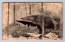 Catskill Mountains NH-New Hampshire, Alligator Rock Haines Fall Vintage Postcard picture