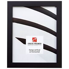 Craig Frames Confetti, Modern Black Picture Frame, 8 x 10 Inch picture