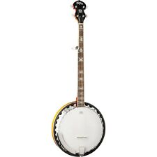 Washburn 5-string Banjo B10 Gloss Sunburst picture