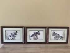 Prints “Whimsical Wigeons,” “Pintail Pals,” and 