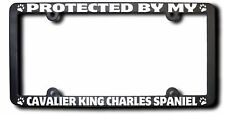 Protected By My Cavalier King Charles Spaniel License Frame picture