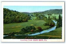 c1920 Scenic View Forest Greetings From Glen Iron Pennsylvania Unposted Postcard picture