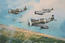 Hell Hawks over Utah, Robert Taylor aviation art signed by D-Day Fighter Pilots picture