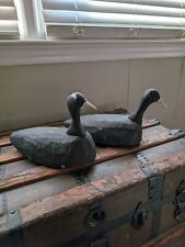 Pair of Walter Beasley (Knott's Island, NC) Coot Decoys With Aluminum Bills  picture
