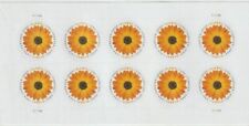 Sheet of 10 stamps Global International Rate African Daisy Forever Scott # 5680 picture
