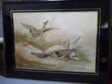 Antique Alexander Pope Jr Chromolithograph Green-Winged Teal Ducks 1890’s 1900 picture