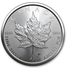 2023 Canadian 1 oz .9999 fine silver Maple coin picture