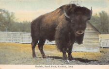 Keokuk IA Iowa Rand Park Zoo American Buffalo Bison Menagerie Vtg Postcard B30 picture