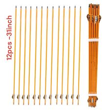 12 Pack Archery 31Inch Carbon Arrow Practice Hunting Arrows picture