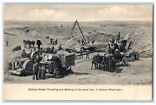 c1905 Cutting Wheat Threshing And Sacking At The Same Time Eastern WA Postcard picture
