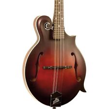 The Loar LM-310F Hand-Carved F-Style Mandolin Vintage Brown picture