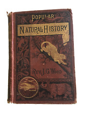 RARE 1880's  Antique Book  Popular Natural History / Rev. JG Wood Illustrated picture
